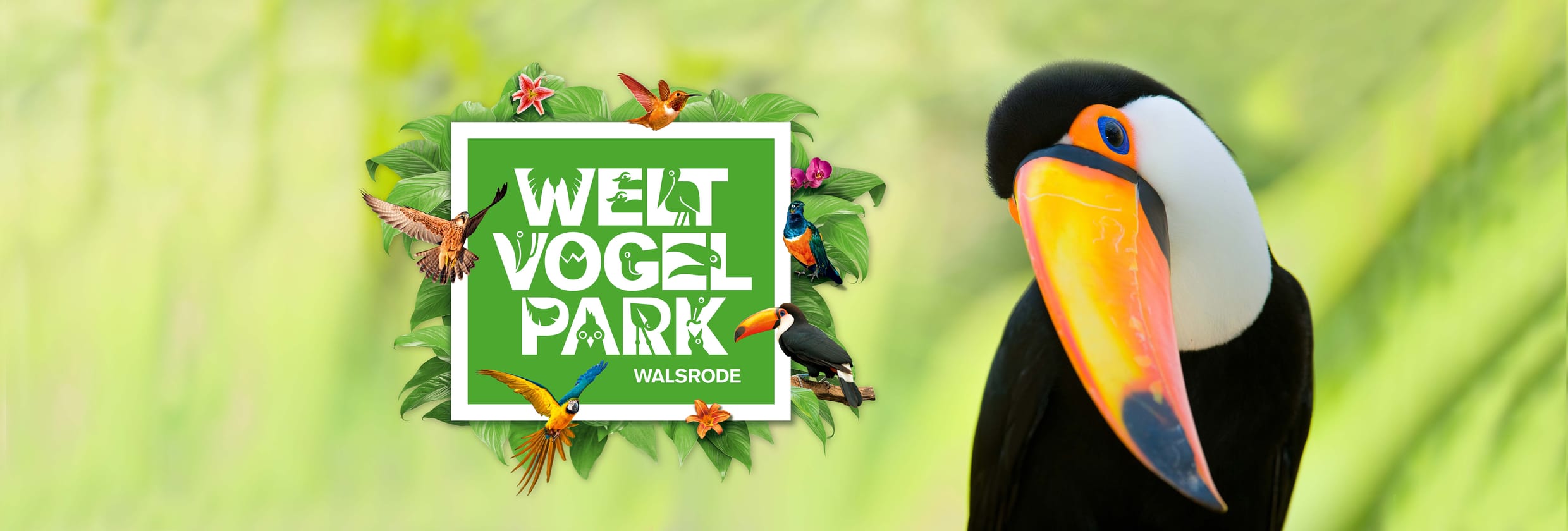 Vogelpark Walsrode übernachten